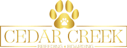 Cedar Creek Boarding Logo